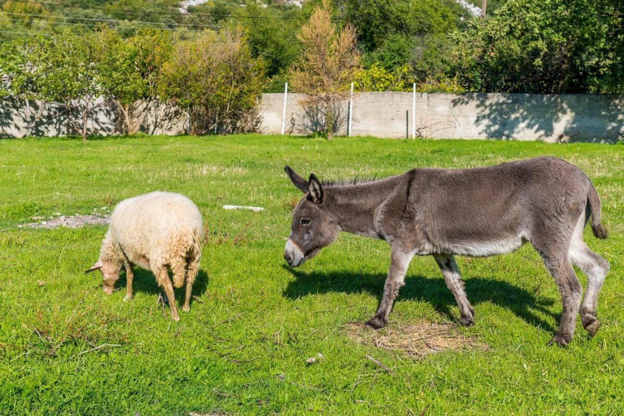 Luki Home Dubrownik Zewnętrze zdjęcie
